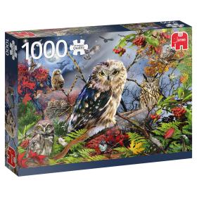 Puzzle Jumbo Premium Collection 1000 peças - Owls in the Moonlight